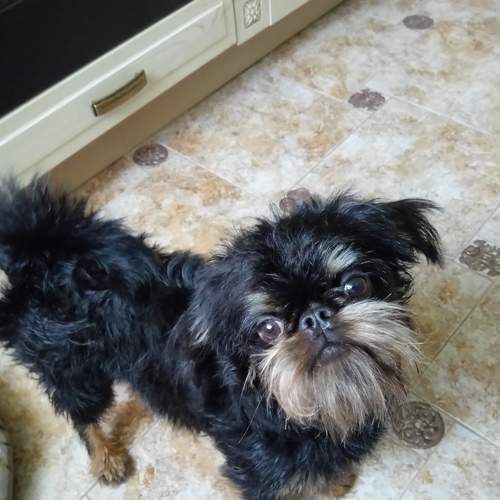 Photo #7691440