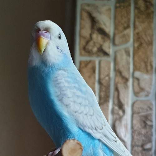 Photo #7691497