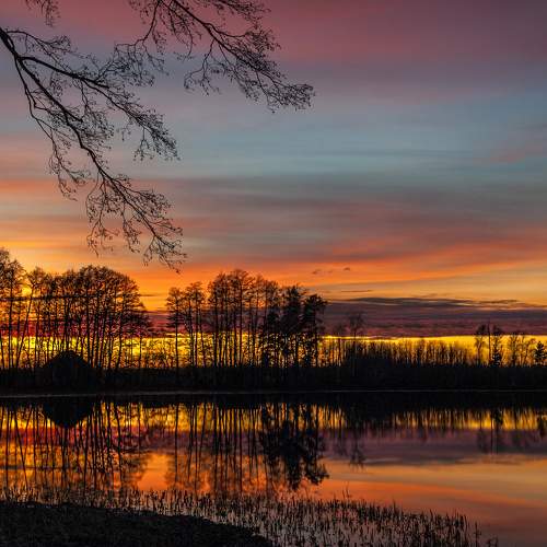 Photo #7691569