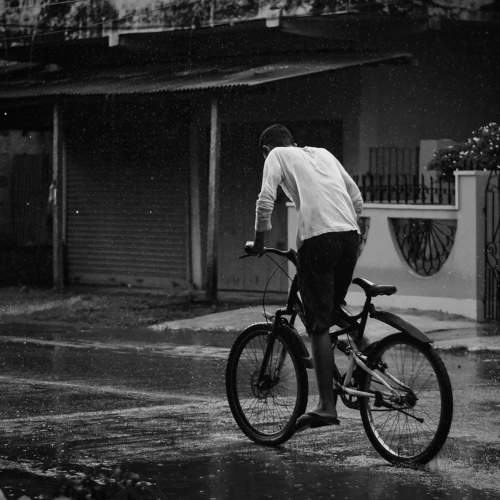 Photo #7691828