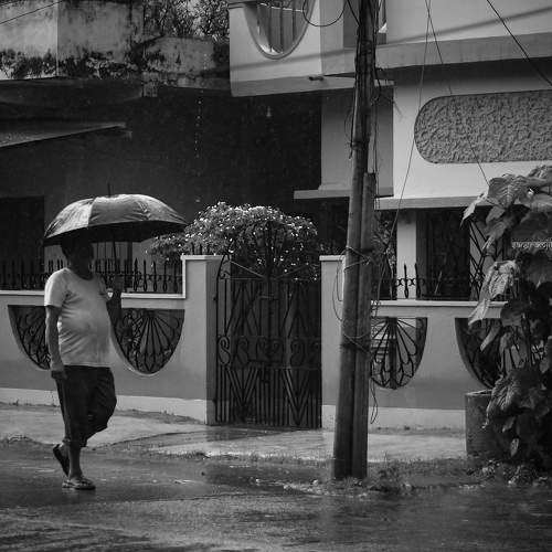 Photo #7691845