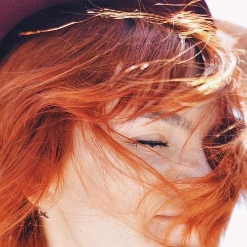 Photo #7691915