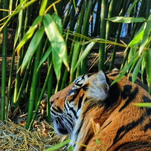 Photo #7692017