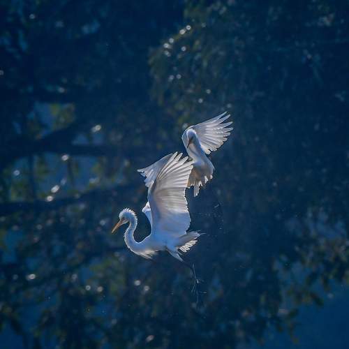 Photo #7692386