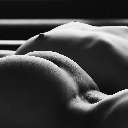 Photo #7692513