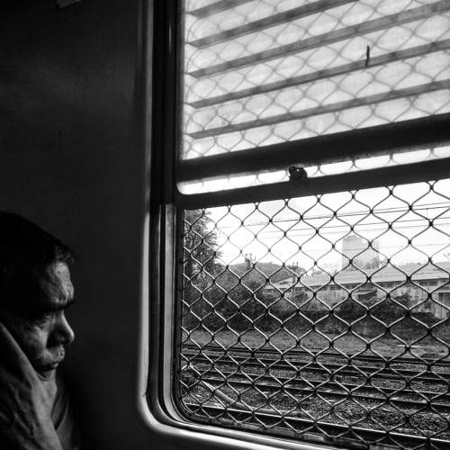 Photo #7692522