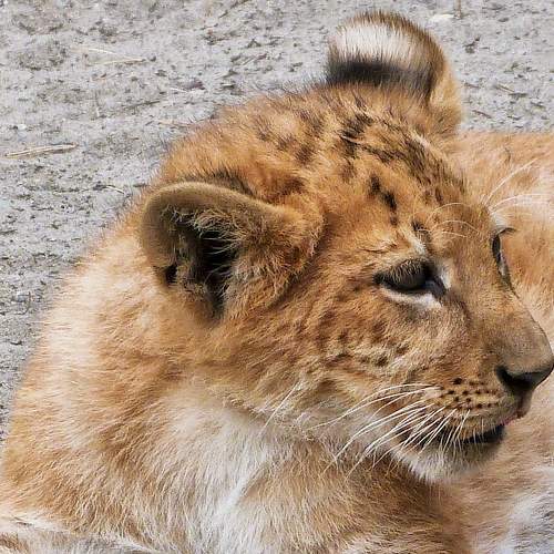 Photo #7692721