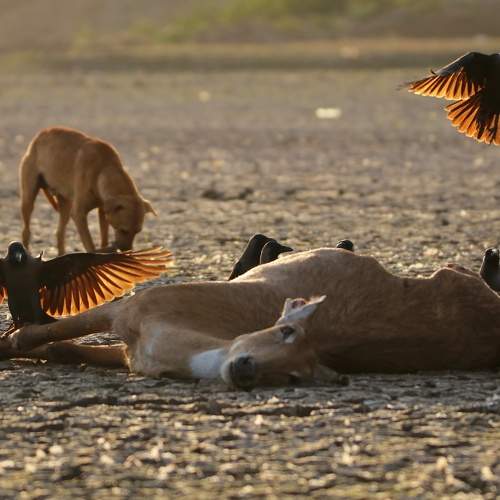 Photo #7692756