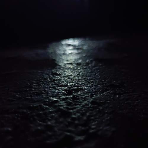 Photo #7692763