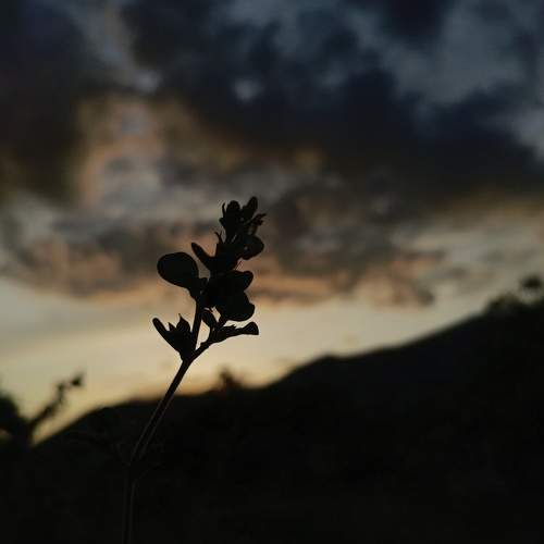 Photo #7692764