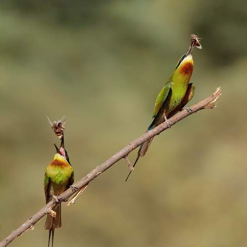 Photo #7692765