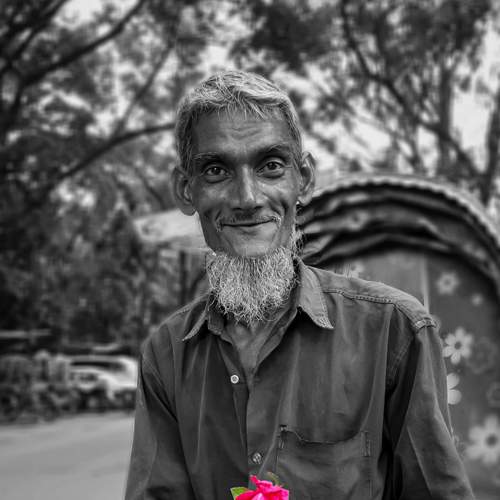 The Happy Rose