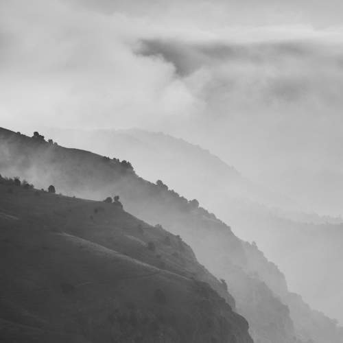 Photo #7692943