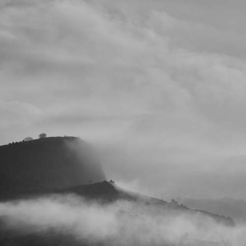 Photo #7692957