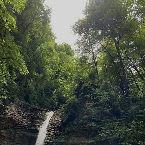 Photo #7693152
