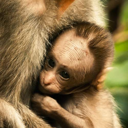 Photo #7693212