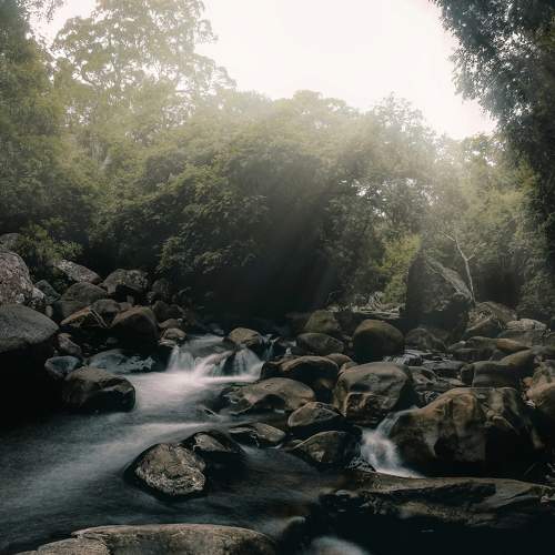 Photo #7693305