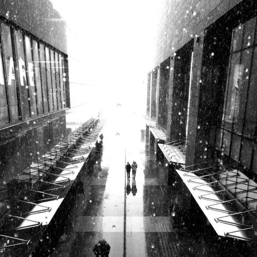 Photo #7693350