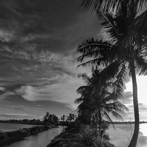 Photo #7693403
