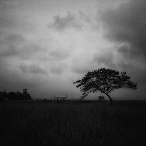 Lonely House