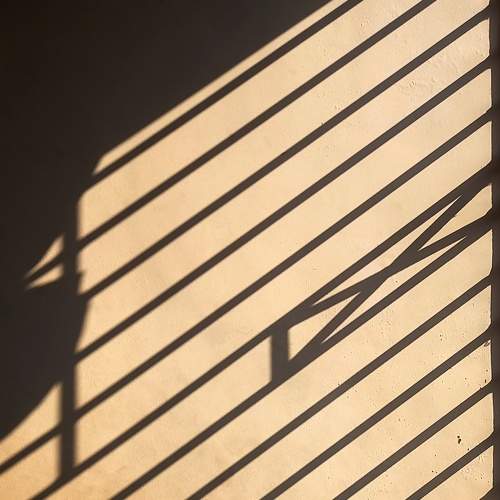 Photo #7693456