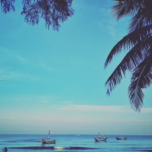 Photo #7693458