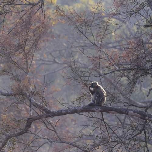 Photo #7693475