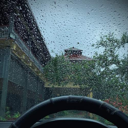 Enjoying the Rain
