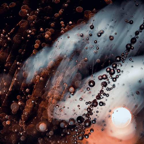 Photo #7693577