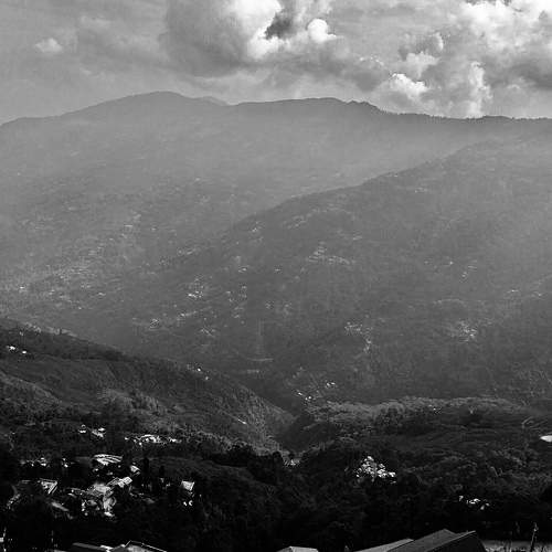 Photo #7693595