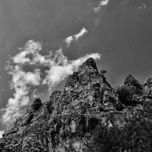 Photo #7693600