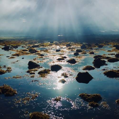 Photo #7693873