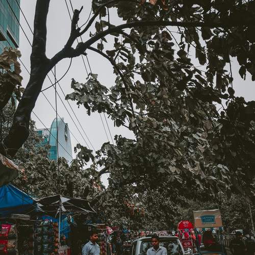 Photo #7694033
