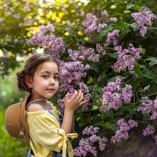 Photo #7694040