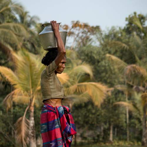 Hardworking Village Woman