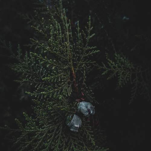 Photo #7694125