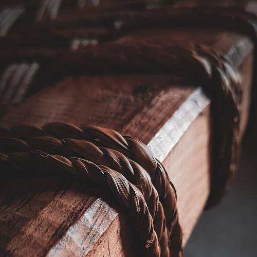 Photo #7694127