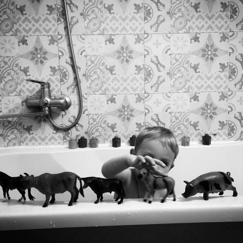 Photo #7694190