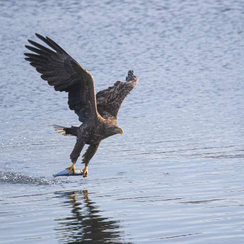 Photo #7694230