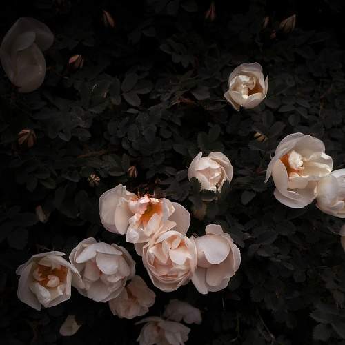 Photo #7694261