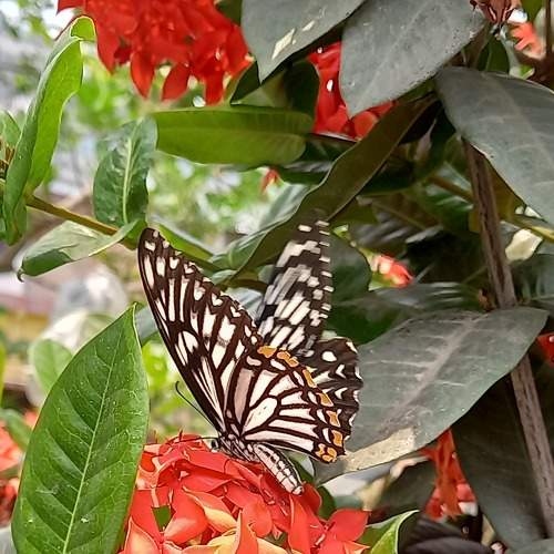 Photo #7694291