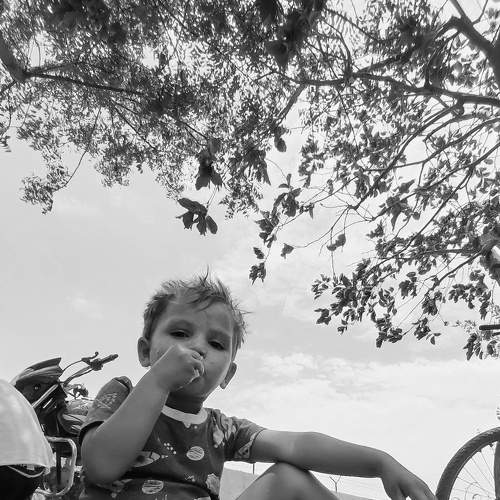 Photo #7694317