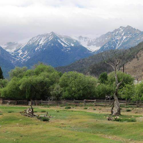 Photo #7694334