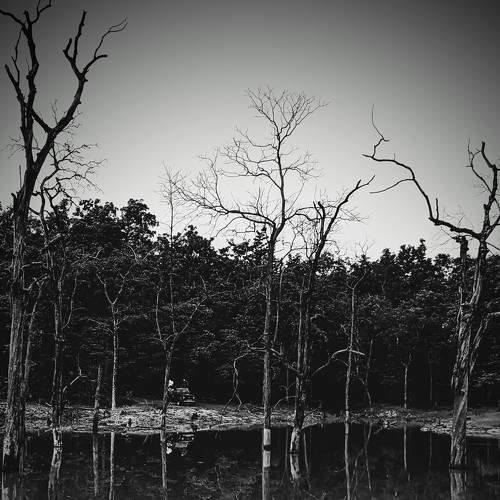 Photo #7694591