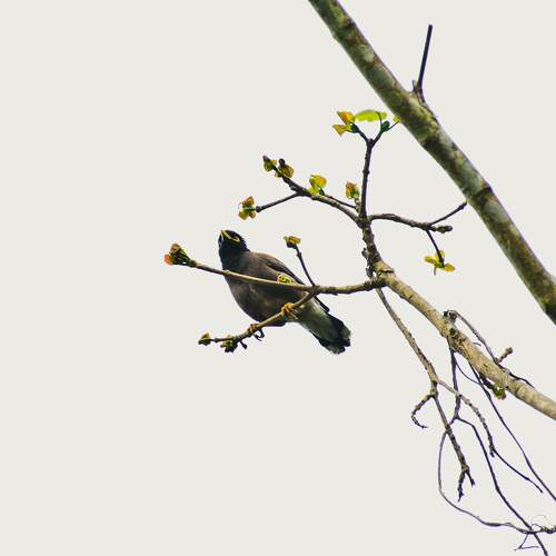 Photo #7694648