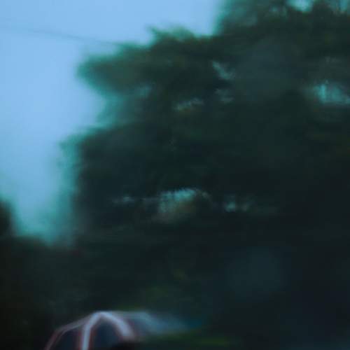 Photo #7694791