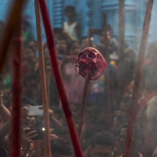 Photo #7695101
