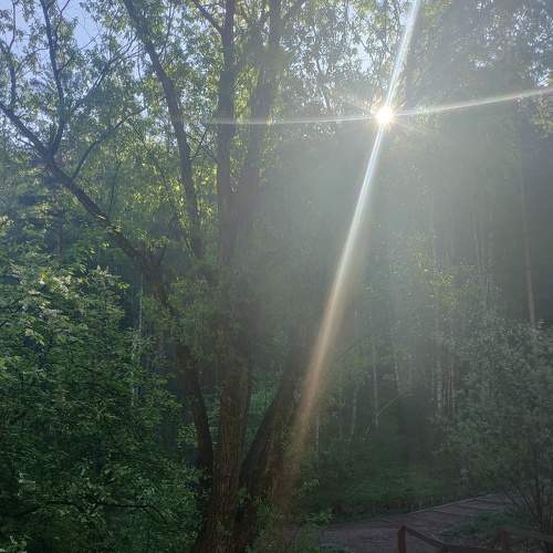 Photo #7695259