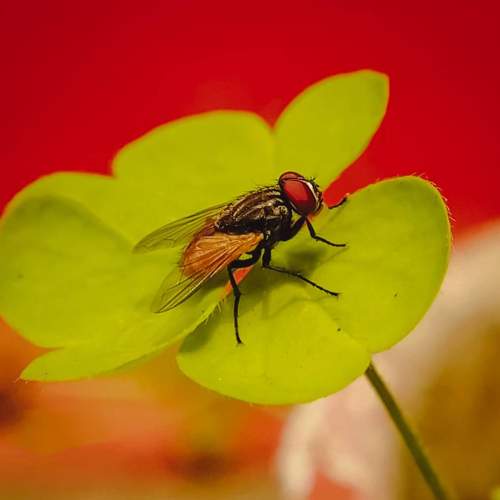 Photo #7695281