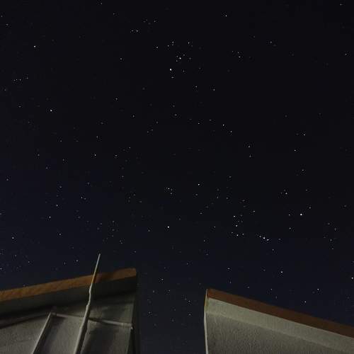 Photo #7695303